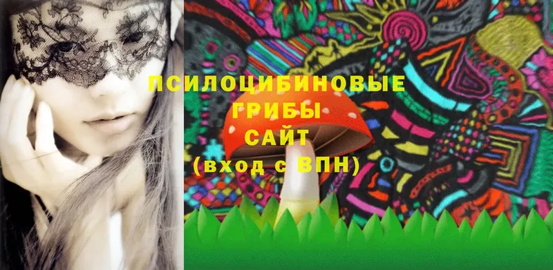 Галлюциногенные грибы MAGIC MUSHROOMS  Киров 